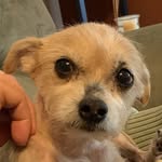 Barb Ward - @barbward535 - Instagram