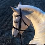 Barb Ward - @barb510hdg - Instagram