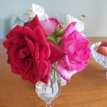 Barb Watters - @barb.watters - Instagram