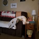 Barb Watts - @barbwatts585 - Instagram