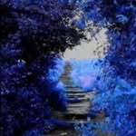 Barb Webb - @barb.weeb - Instagram