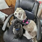 Barb Webb - @barbwebb62 - Instagram