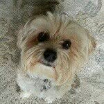 Barb Wildermuth - @barb_wildermuth - Instagram