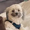 barbjwild - @disneygal19 - TikTok