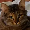 Barb Willis - @barb.willis - TikTok
