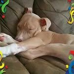 Barb Witt - @bwitt61 - Instagram