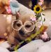 Barb Witt - Facebook