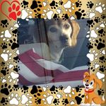 Barbara Abbott - @barbara.abbott.712 - Instagram