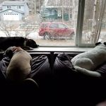 Barbara Abbott - @abbott.barbara - Instagram