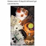 Barbara Acker - @barbaraacker76002 - Instagram