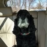 Barbara Acker - @barbacker2 - Instagram