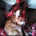 Barbara Acker - Facebook