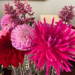 Barbara Ackerley - @ackerleybarbara - Instagram