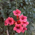 Barbara Adamczyk - @barbara.adamczyk.946 - Instagram
