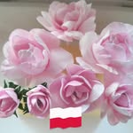 Barbara Adamczyk - @barbaraadamczyk01 - Instagram