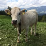 Barbara Adler - @barbara021159 - Instagram