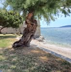 Barbara Sophie Adler - Facebook