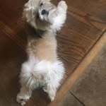 Barbara Akers - @barbara.akers.1612 - Instagram