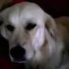 barbaraalderman11 - @barbaraalderman11 - TikTok