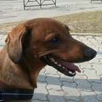 Barbara Amadio - @barbaraamadio72 - Instagram