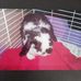 Barbara Bartoli Ammann - Facebook