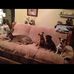 Barbara Anglin - Facebook