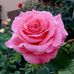Barbara Antoniuk - Facebook