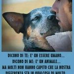 Barbara Apostolo - @barbara.apostolo.395 - Instagram