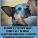 Barbara Apostolo - Facebook