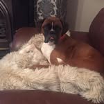 Barbara Appleton - @barb_apple - Instagram