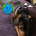 Barbara Applewhite - Facebook