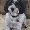 barbappling - @barbappling - TikTok