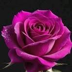 Barbara Arce Rios - Facebook