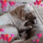 Barbara Archer - Facebook