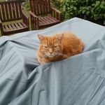 Barbara Archer - @barbraarcher450 - Instagram