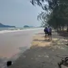barbaraarcher5 - @barbaraarcher5 - TikTok