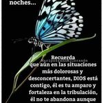 Bárbara Arcos - @barbara.arcos.1441 - Instagram