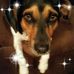 Barbara Ard - Facebook