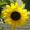 Barbara Arenas - @barbara.arenas56 - TikTok