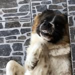 Bárbara Arenas - @margaritamartina1206 - Instagram