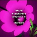 Barbara R De Arenas - @barbarardearenas - Instagram