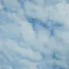 barbaraarentowicz - @barbaraarentowicz - TikTok