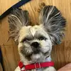BarbaraKa - @barbarakarko - TikTok