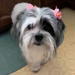 Barbara Armitage - @barbara.armitage.792 - Instagram
