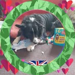 Barbara Armstrong - Facebook