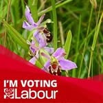 Barbara Armstrong - @barbaraarmstrong2279 - Instagram