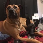 Barbara Armstrong - Facebook