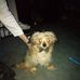 Barbara Arno - Facebook