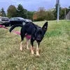 Barbara Arnett - @barbaraarnett01 - TikTok