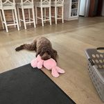 Barbara Arnott - @arnottb47 - Instagram